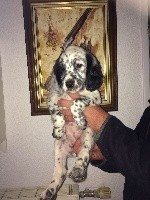 "RITA"