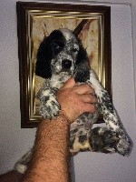"RAJA"